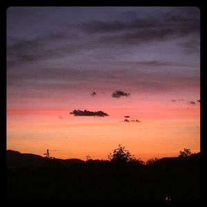 Everything Must Go! Make Offers!